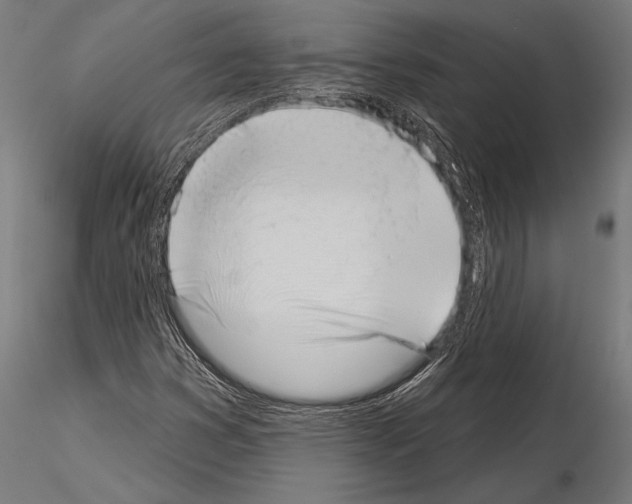 X0000115231353200912111020