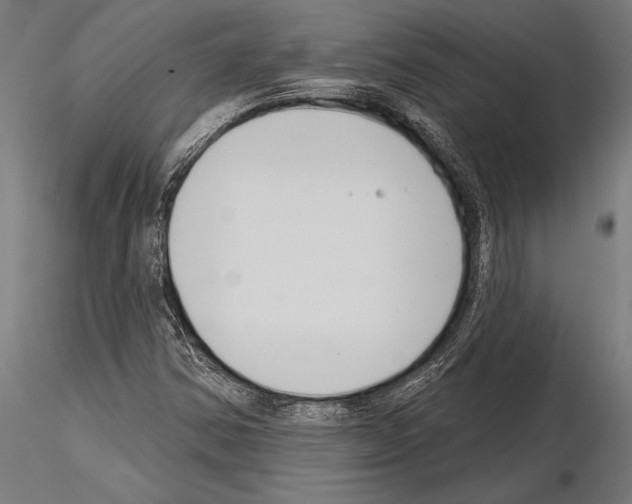 X0000115231354200912111020