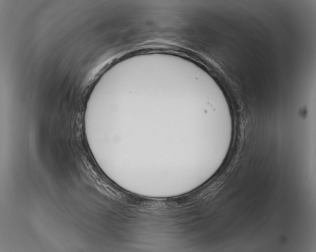 X0000115231355200912111020