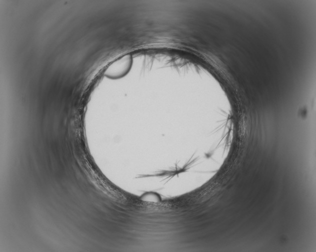 X0000115231356200912111020