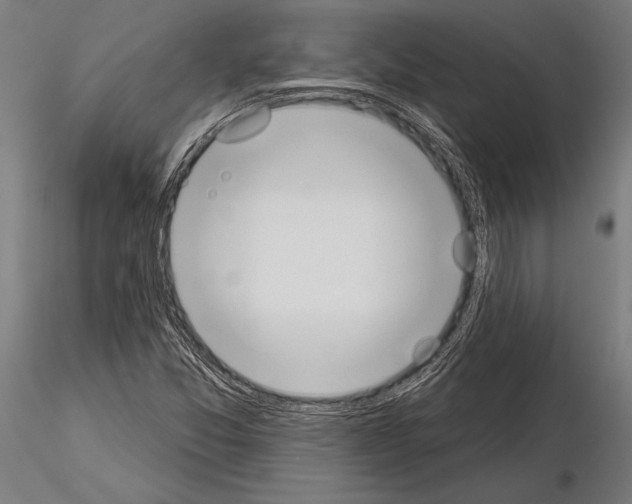 X0000115231357200912111020