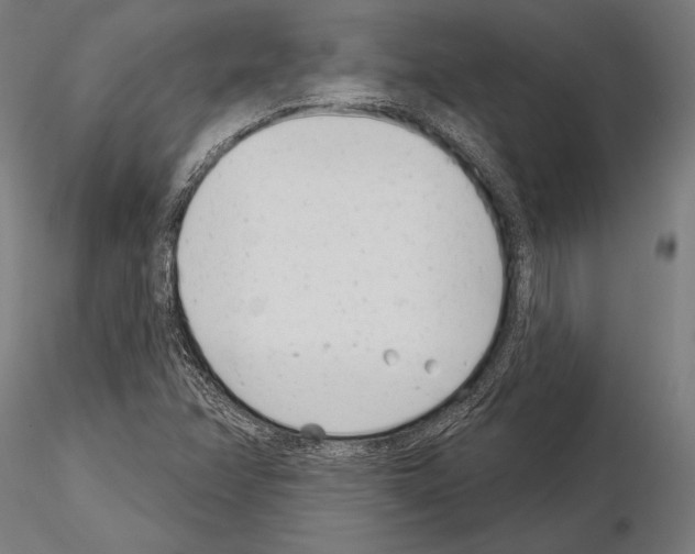 X0000115231358200912111020