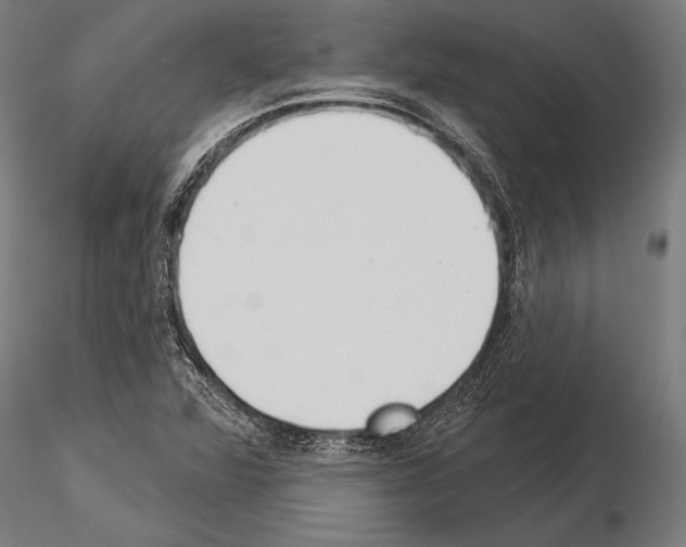 X0000115231360200912111020