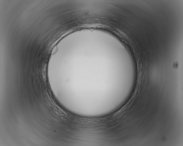 X0000115231361200912111020