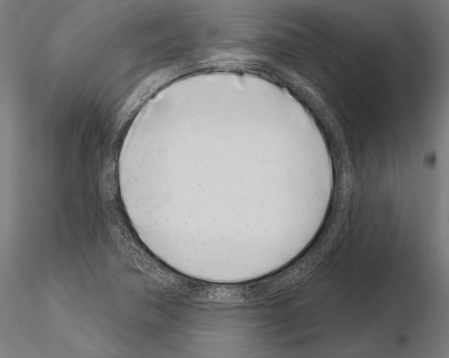 X0000115231362200912111020