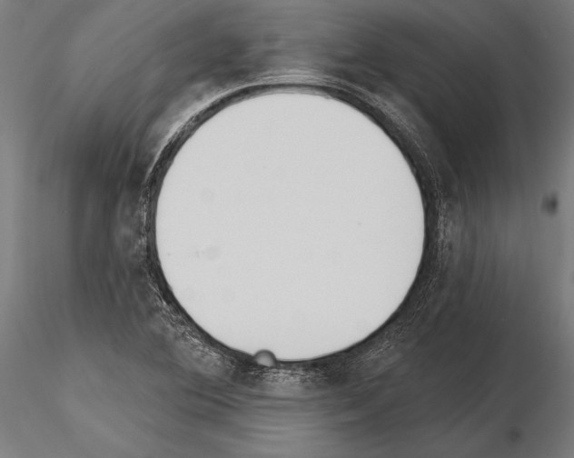 X0000115231364200912111020