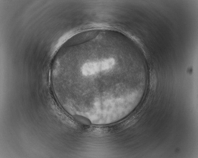 X0000115231365200912111020