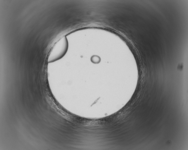 X0000115231367200912111020