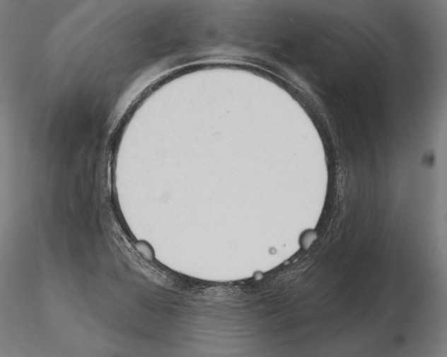 X0000115231368200912111020