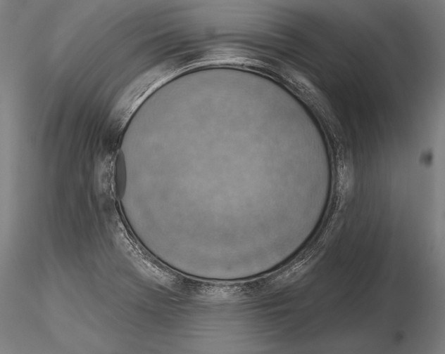 X0000115231369200912111020