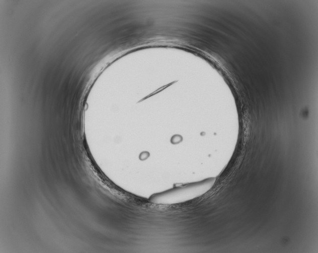 X0000115231371200912111020