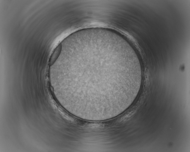 X0000115231373200912111020