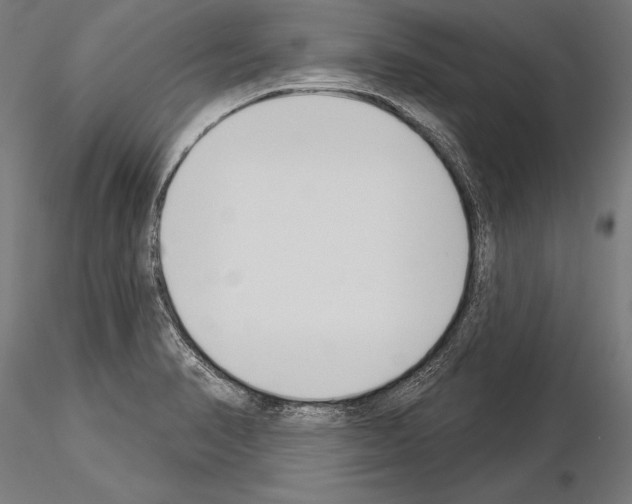 X0000115231374200912111020