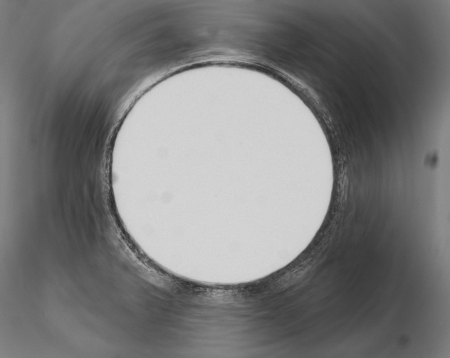 X0000115231375200912111020