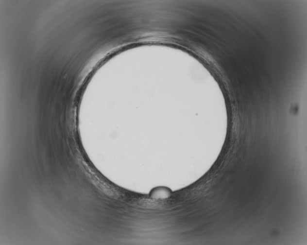 X0000115231376200912111020