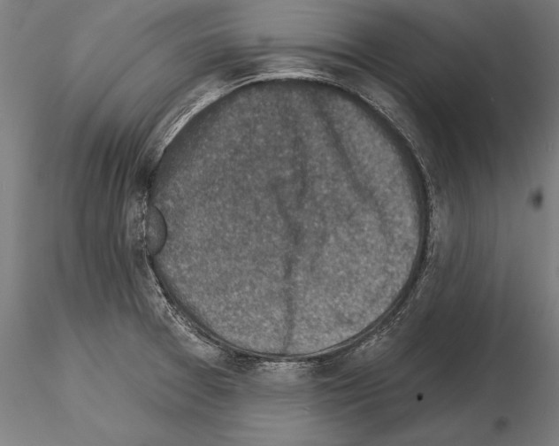 X0000115231377200912111020