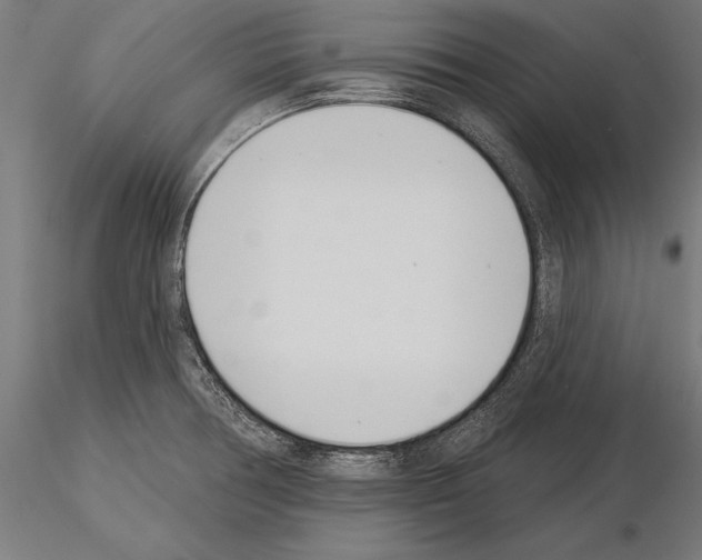 X0000115231378200912111020