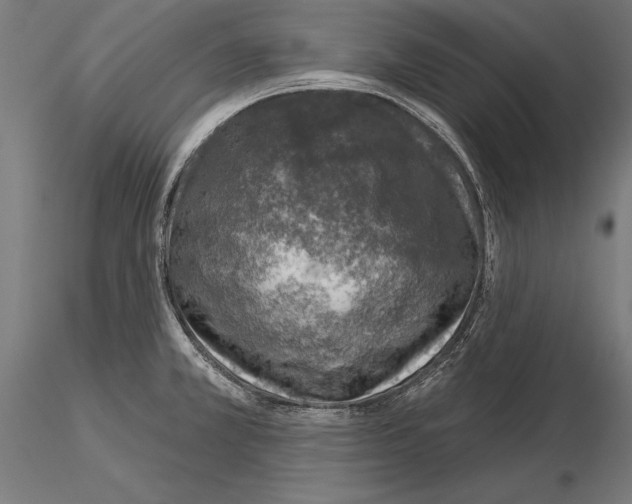 X0000115231381200912111020