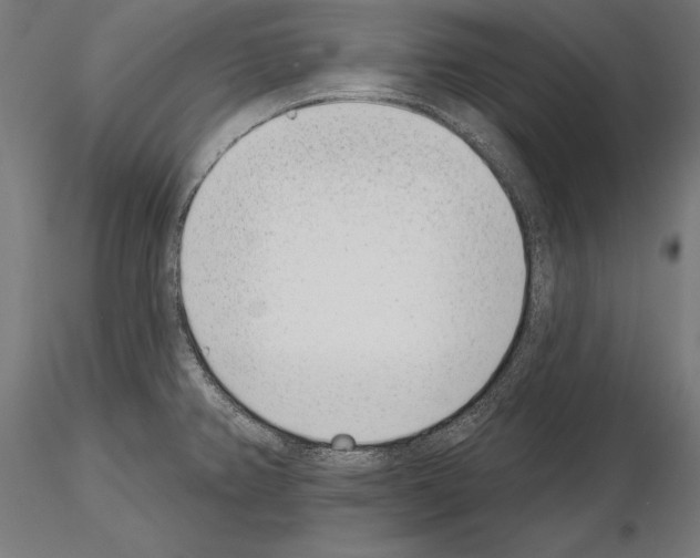 X0000115231382200912111020