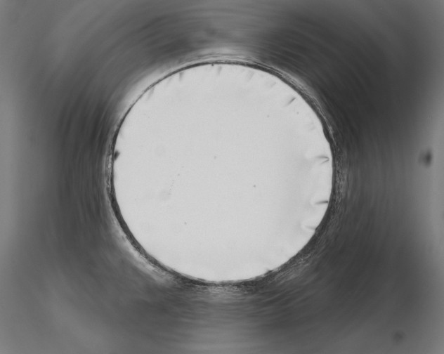 X0000115231383200912111020