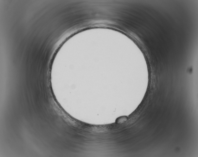 X0000115231384200912111020