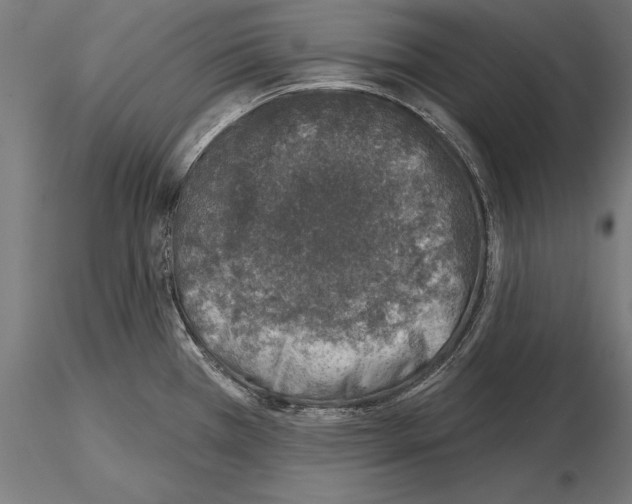 X0000115231385200912111020