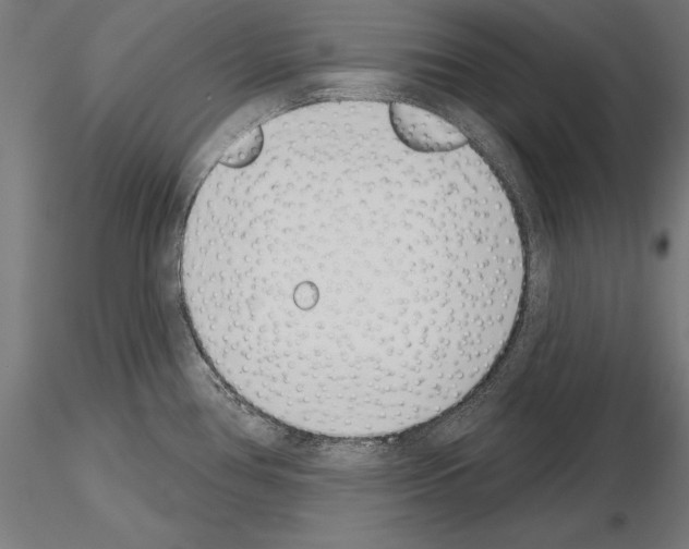 X0000115231386200912111020