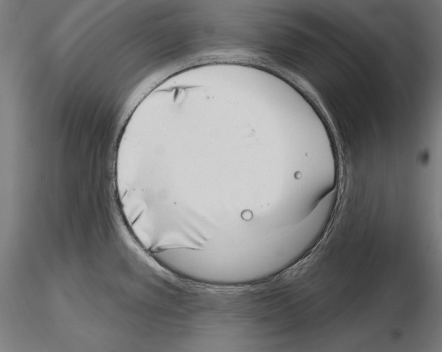 X0000115231389200912111020