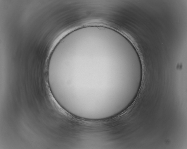 X0000115231392200912111020