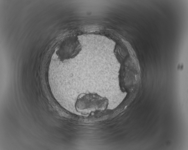 X0000115231393200912111019