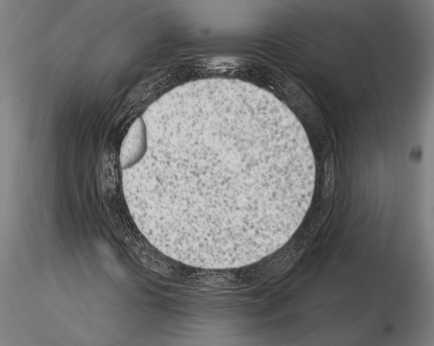 X0000115231394200912111019