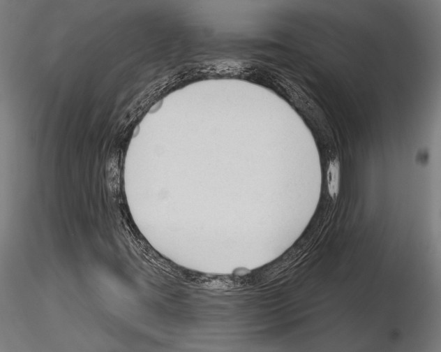 X0000115231395200912111019