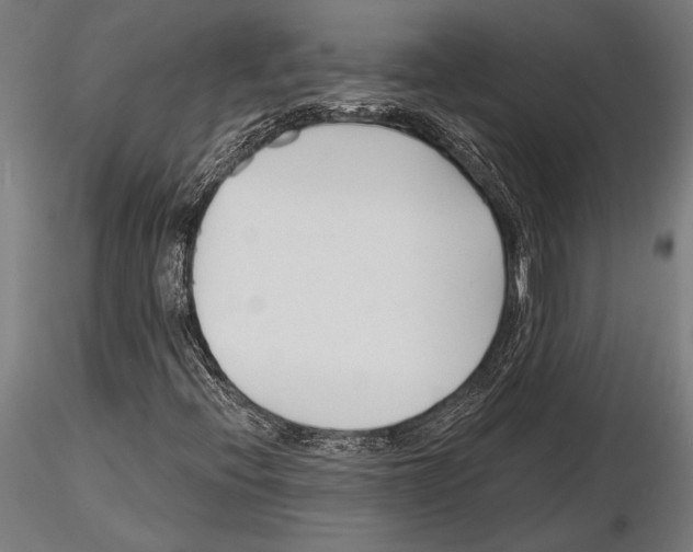 X0000115231396200912111019