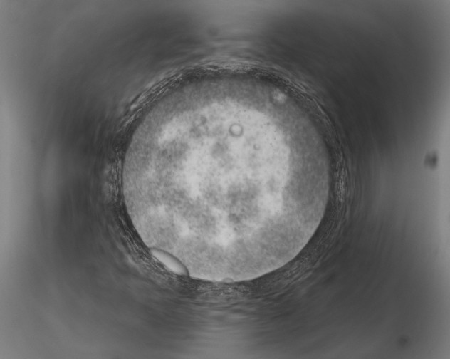 X0000115231397200912111019