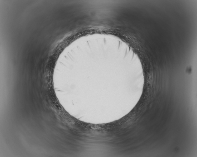 X0000115231398200912111019