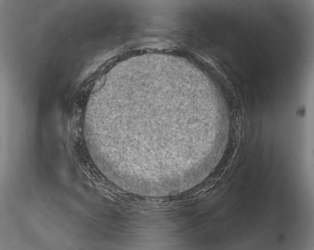 X0000115231399200912111019