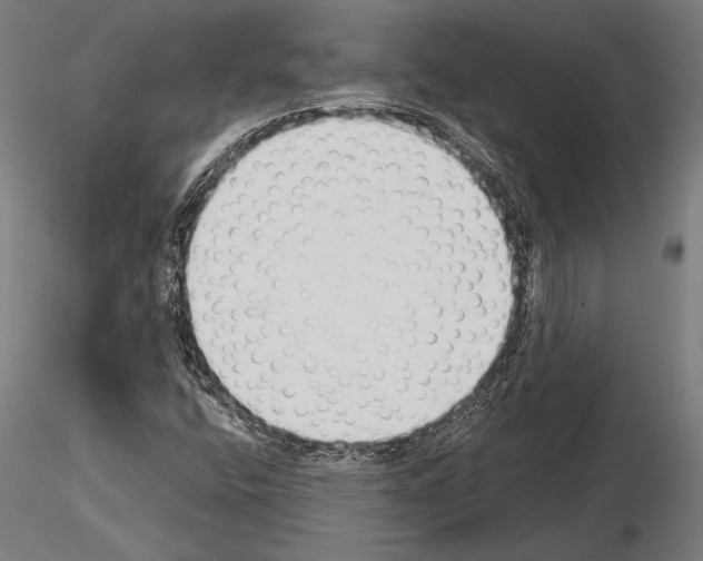 X0000115231400200912111019