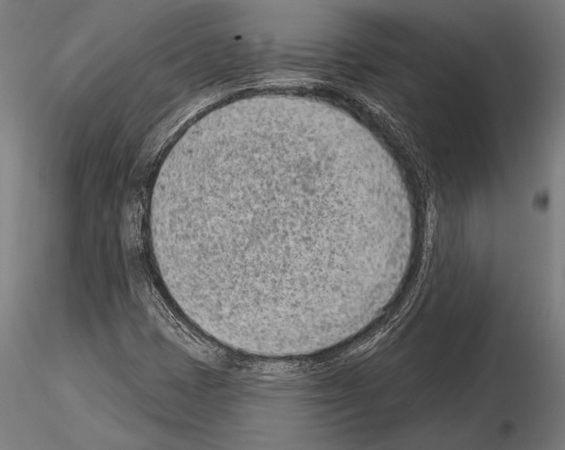 X0000115231401200912111019