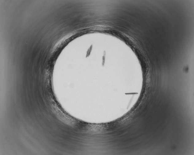 X0000115231402200912111019