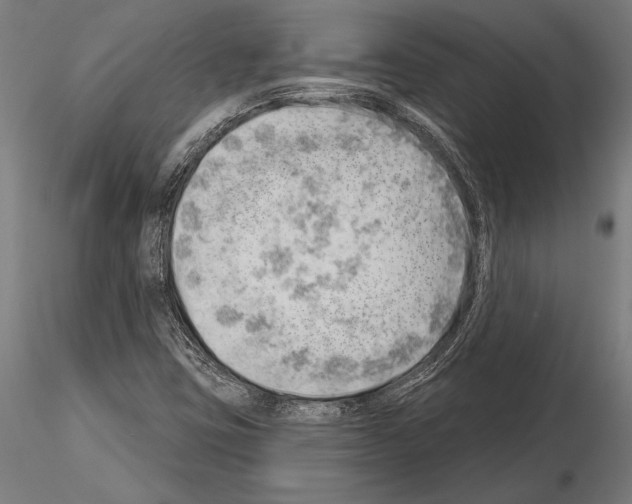 X0000115231403200912111019