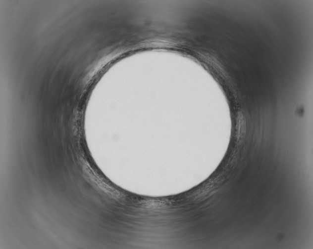 X0000115231404200912111019