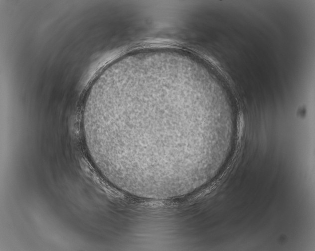 X0000115231405200912111019