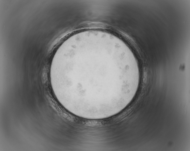 X0000115231407200912111019