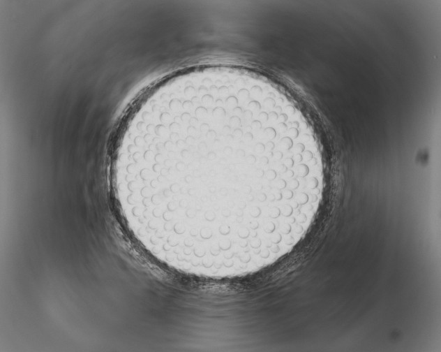 X0000115231408200912111019