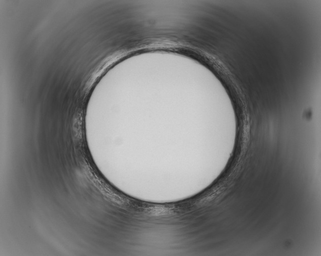 X0000115231409200912111019