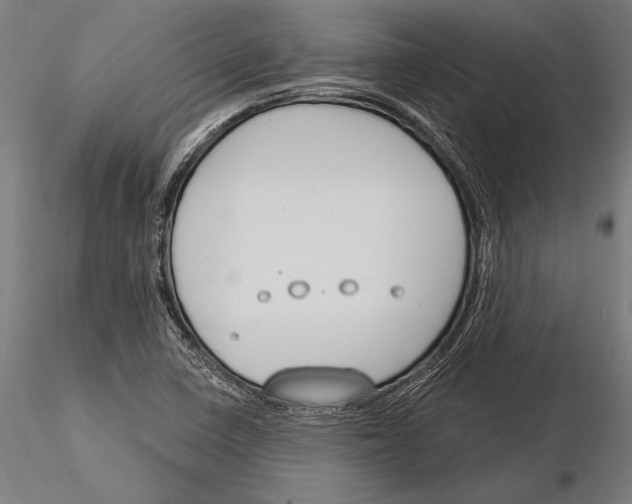 X0000115231410200912111019