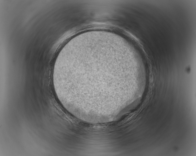 X0000115231411200912111019