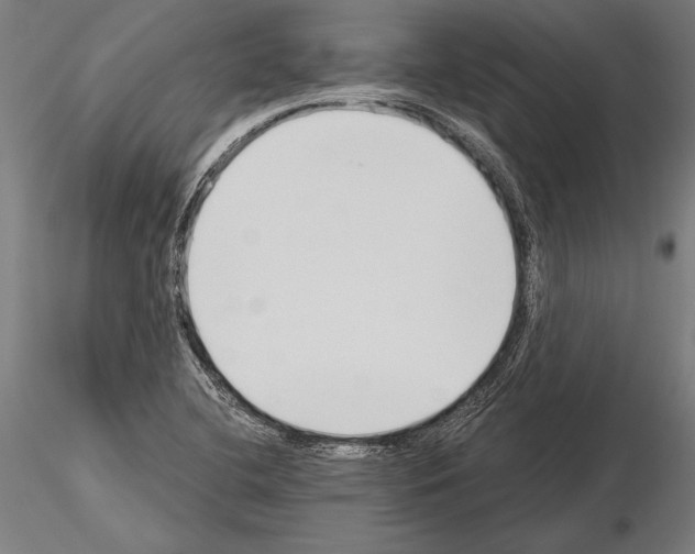 X0000115231412200912111019