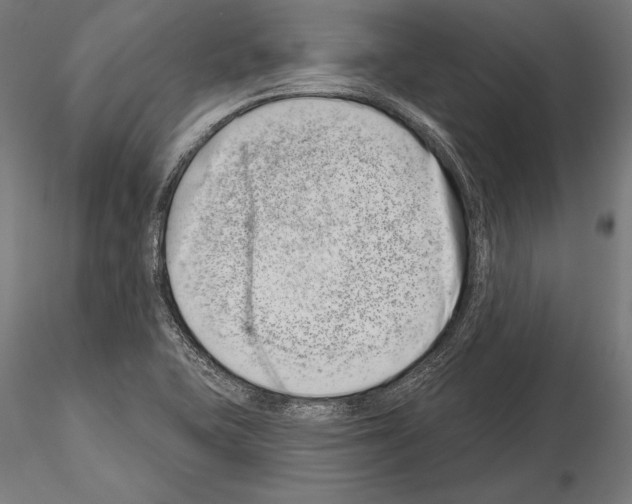 X0000115231415200912111019