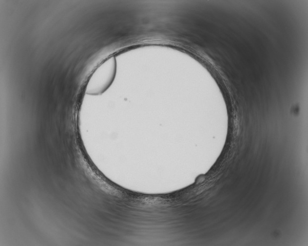 X0000115231416200912111019